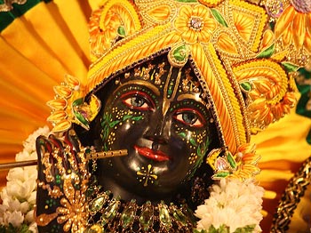 Madhava