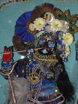 Madhava on Radhasthami