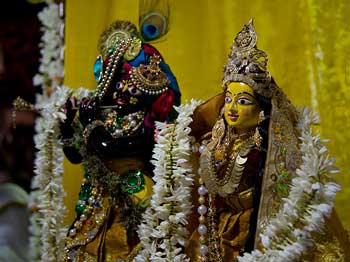 Sri Sri Radha Govinda