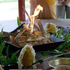 Janmastami 2009, Govindaji Gardens