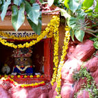 Giriraja Govardhana