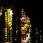 Jagannatha & Gaura-gadhara's Installation Anniversary - Photo 