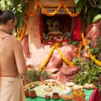 Govardhana Puja 2016 - Photo 