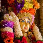 Gaura Purnima 2017 - Photo 