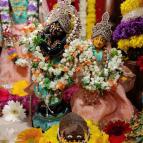 Gaura Purnima 2022 - Photo 