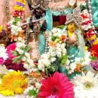 Gaura Purnima 2022 - Photo 