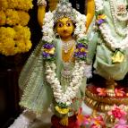 Gaura Purnima 2024 - Photo 