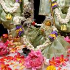 Gaura Purnima 2024 - Photo 